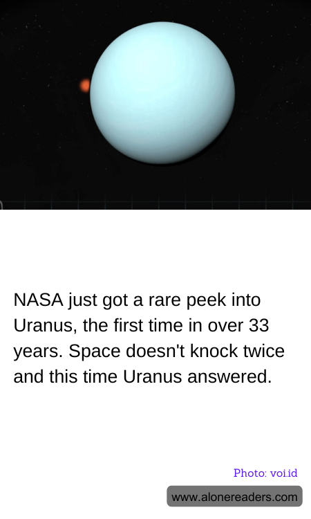 General Knowledge Learning Cards