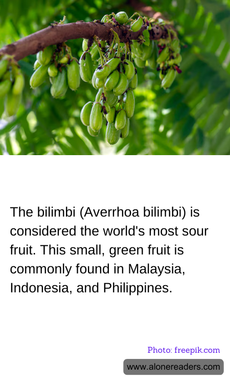 General Knowledge Learning Cards