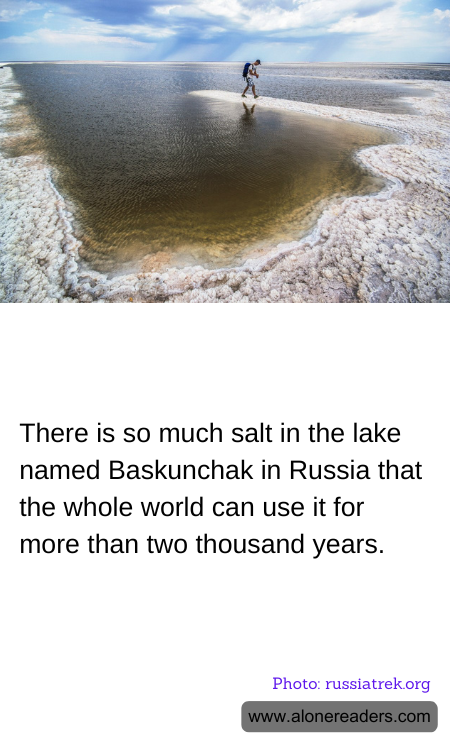 General Knowledge Learning Cards