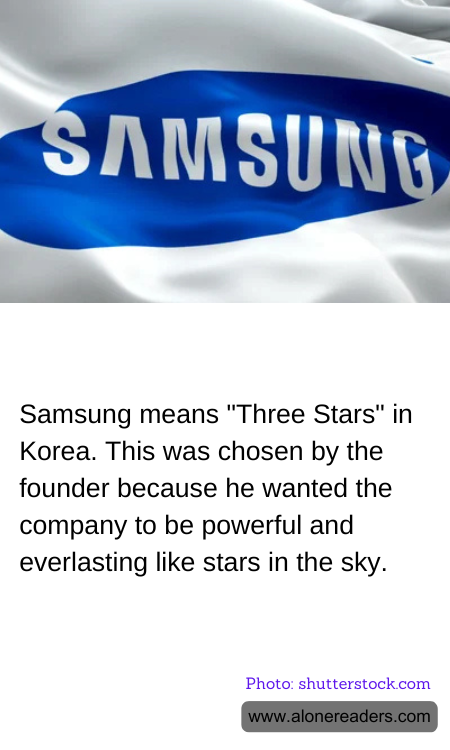 General Knowledge Learning Cards