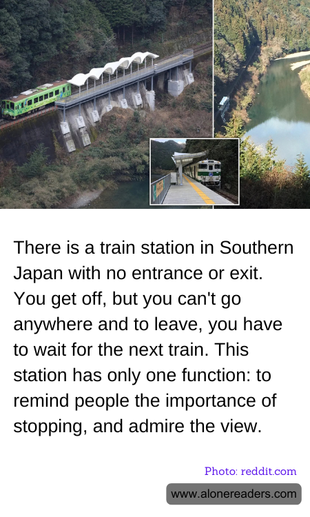 General Knowledge Learning Cards