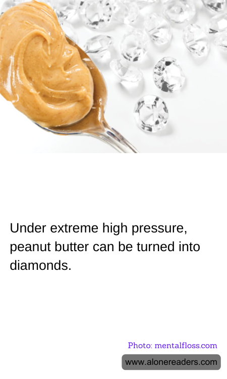 General Knowledge Learning Cards