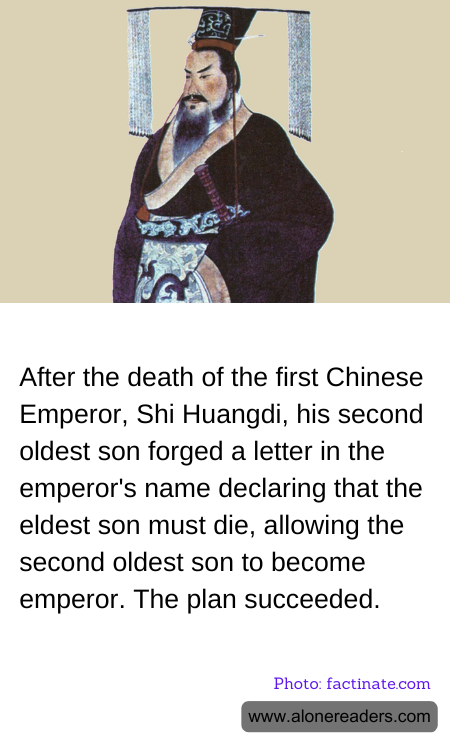 General Knowledge Learning Cards