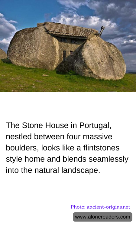 General Knowledge Learning Cards