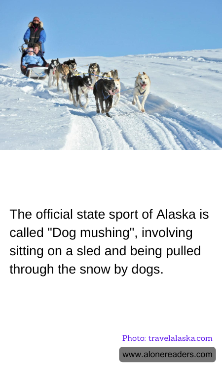 General Knowledge Learning Cards