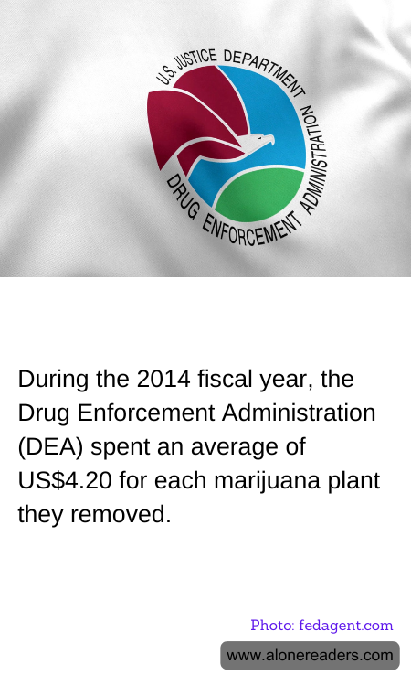 General Knowledge Learning Cards