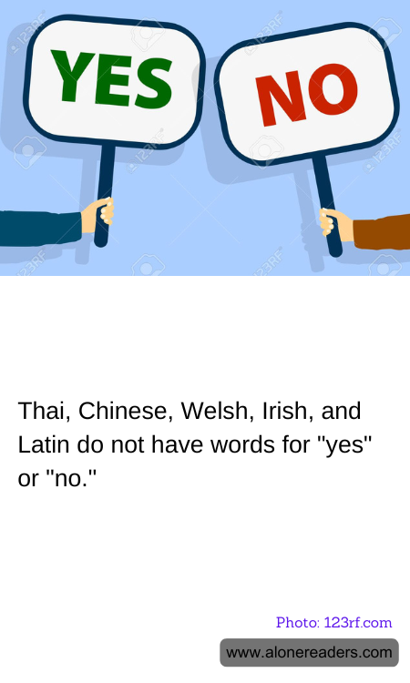 General Knowledge Learning Cards