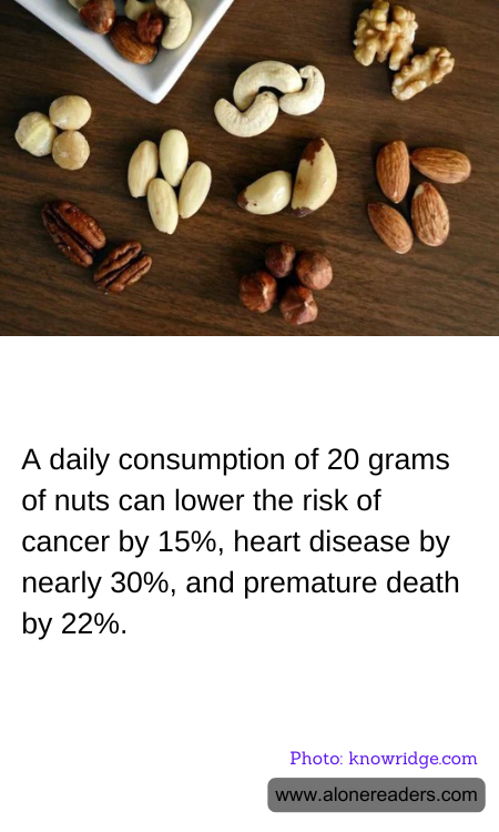 General Knowledge Learning Cards