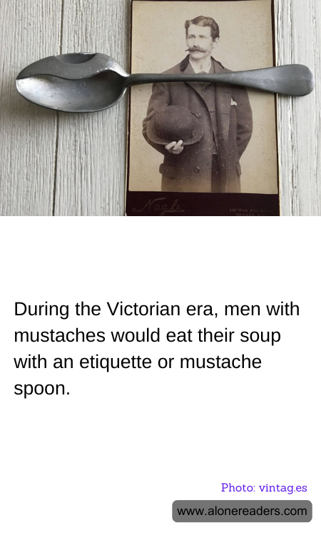 General Knowledge Learning Cards