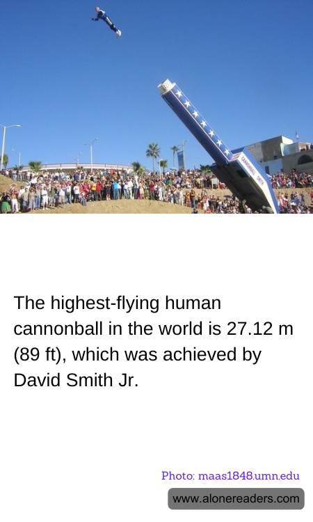 General Knowledge Learning Cards