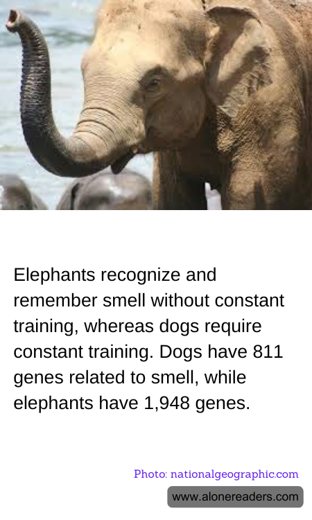 General Knowledge Learning Cards