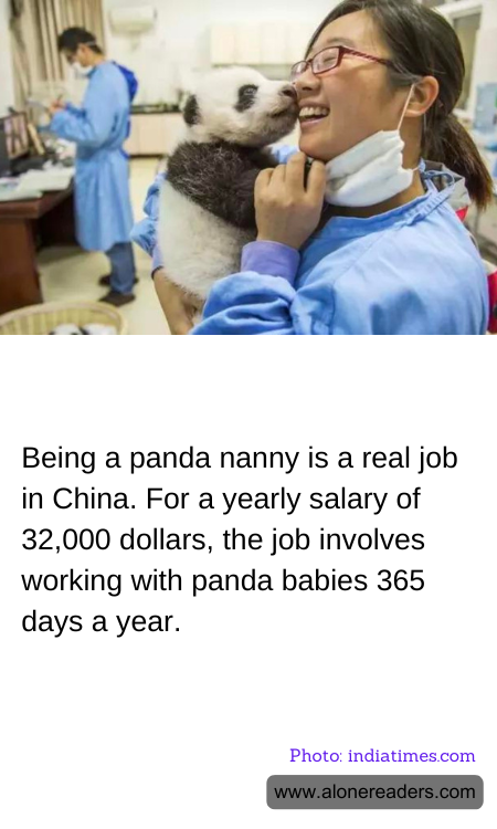 General Knowledge Learning Cards