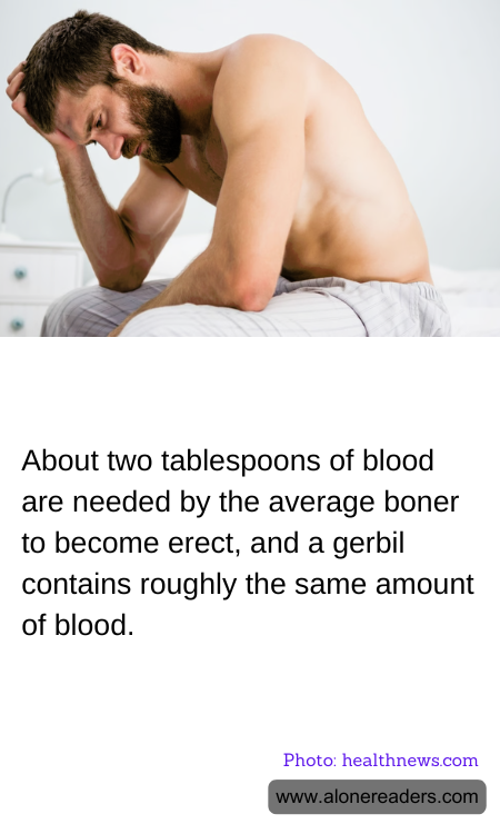 General Knowledge Learning Cards