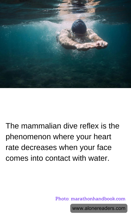 General Knowledge Learning Cards