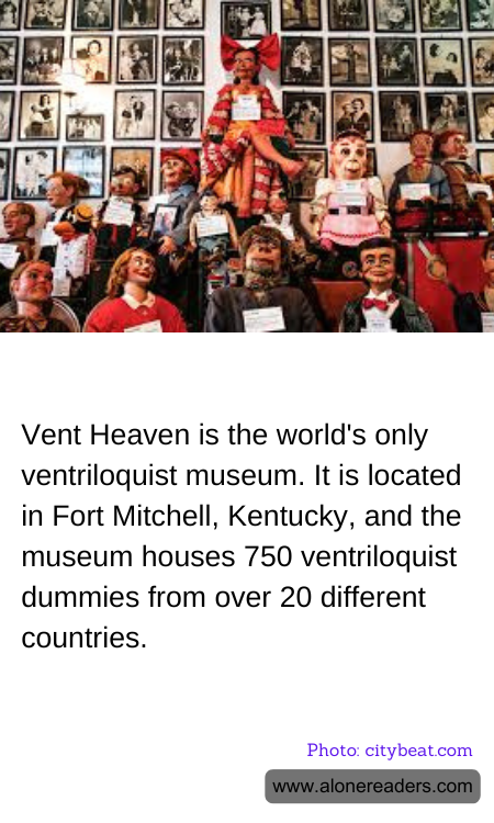 General Knowledge Learning Cards