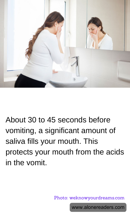 General Knowledge Learning Cards