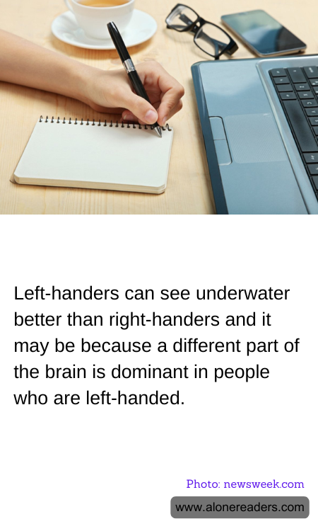 General Knowledge Learning Cards