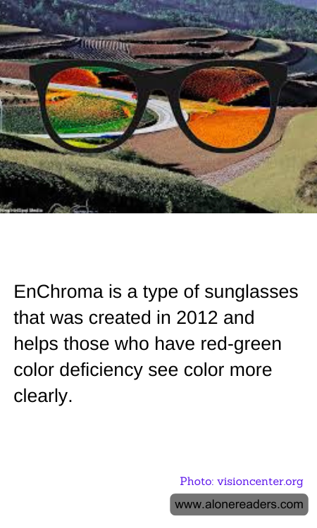 General Knowledge Learning Cards