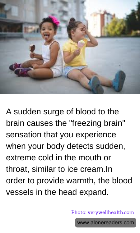 General Knowledge Learning Cards