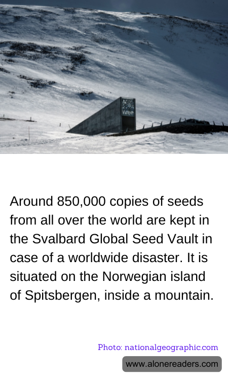 General Knowledge Learning Cards