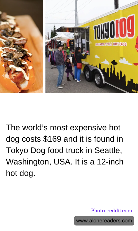 General Knowledge Learning Cards