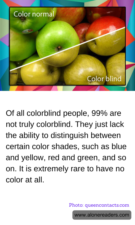 General Knowledge Learning Cards