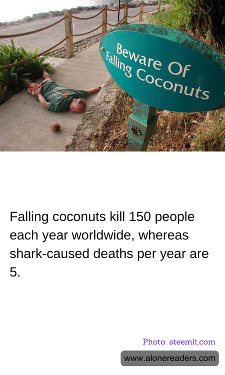 General Knowledge Learning Cards