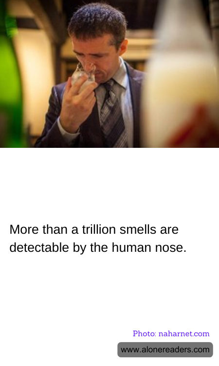 General Knowledge Learning Cards