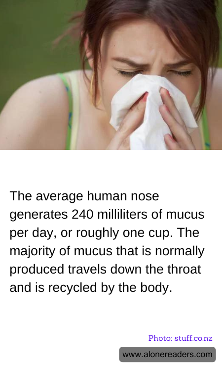 General Knowledge Learning Cards