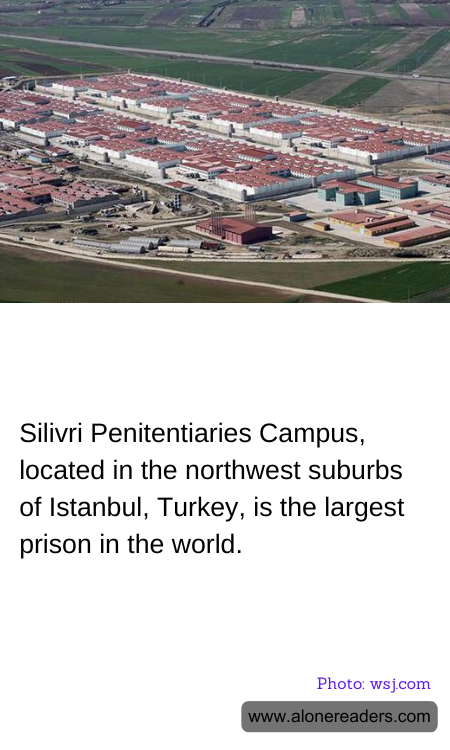 General Knowledge Learning Cards