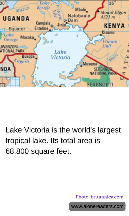 General Knowledge Learning Cards