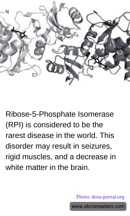 General Knowledge Learning Cards