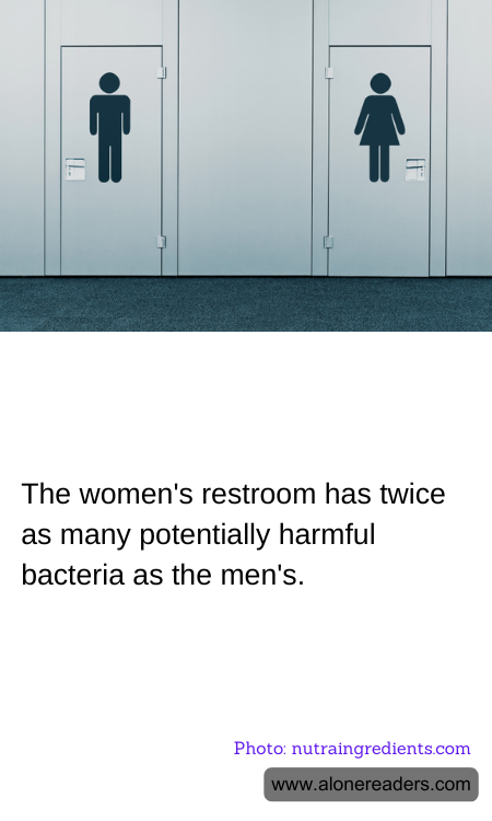 General Knowledge Learning Cards