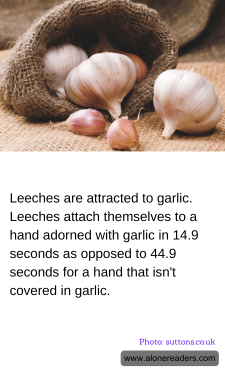 General Knowledge Learning Cards