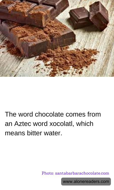 General Knowledge Learning Cards