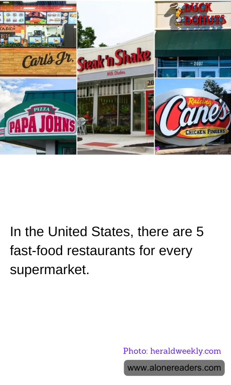 General Knowledge Learning Cards