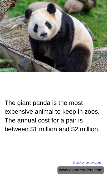 General Knowledge Learning Cards