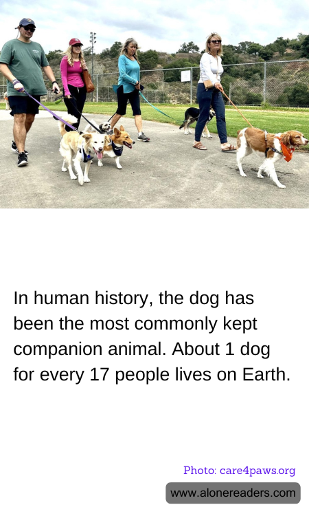 General Knowledge Learning Cards