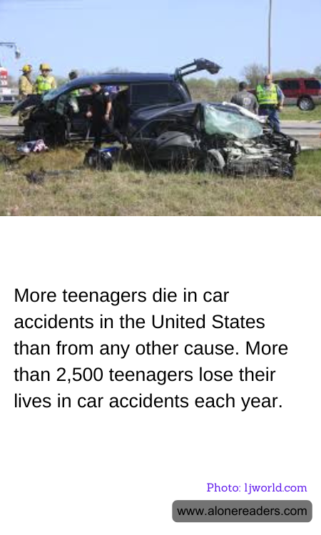 General Knowledge Learning Cards