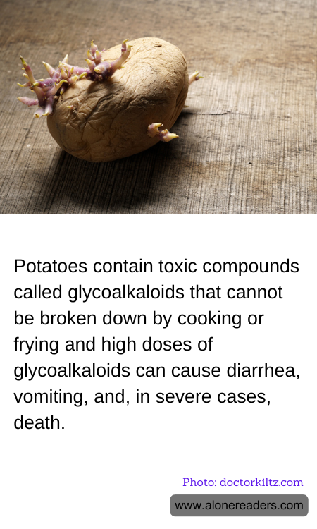 General Knowledge Learning Cards