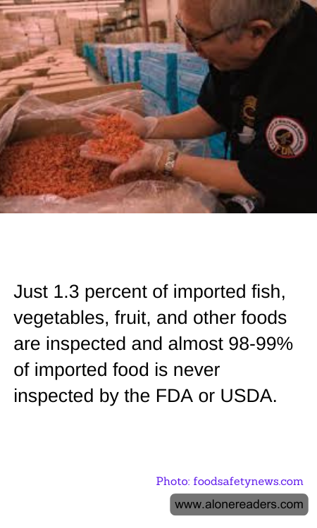 General Knowledge Learning Cards