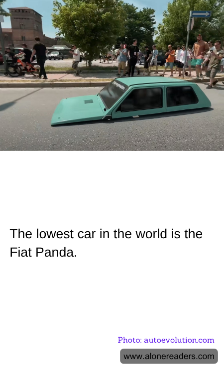 General Knowledge Learning Cards