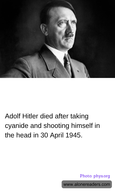 General Knowledge Learning Cards