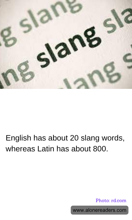 General Knowledge Learning Cards