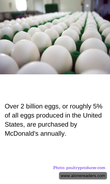 General Knowledge Learning Cards