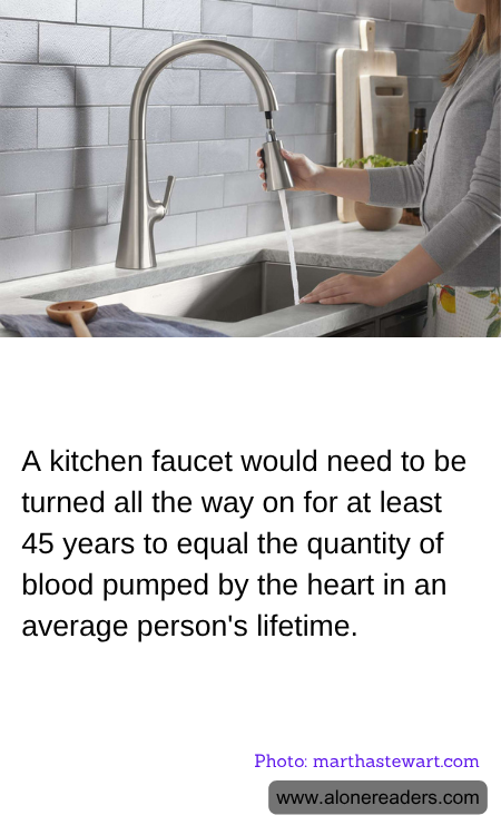 General Knowledge Learning Cards