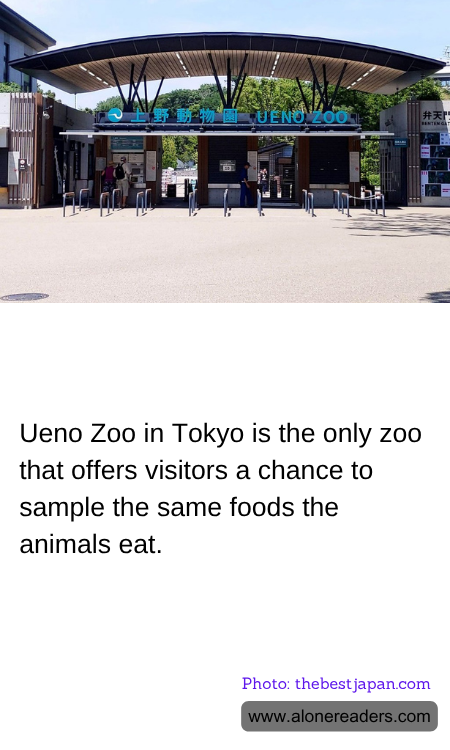 General Knowledge Learning Cards