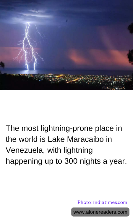 General Knowledge Learning Cards