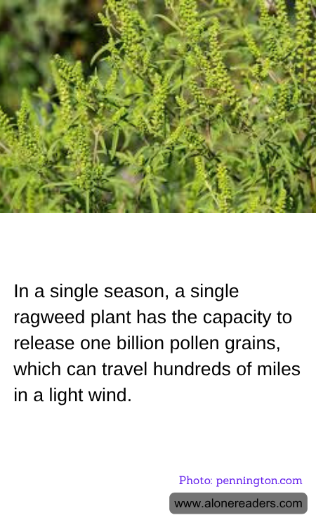 General Knowledge Learning Cards