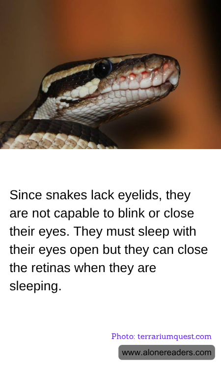 General Knowledge Learning Cards